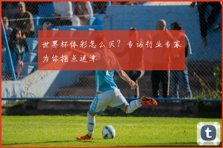 世界杯体彩怎么买？专访行业专家为你指点迷津