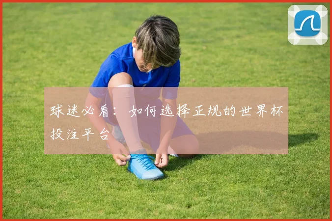球迷必看：如何选择正规的世界杯投注平台
