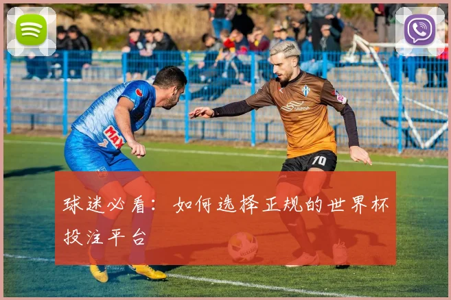 球迷必看：如何选择正规的世界杯投注平台
