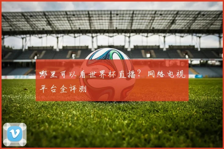 哪里可以看世界杯直播?网络电视平台全评测